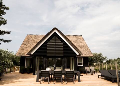 Beautiful design villa on Ameland with fireplace