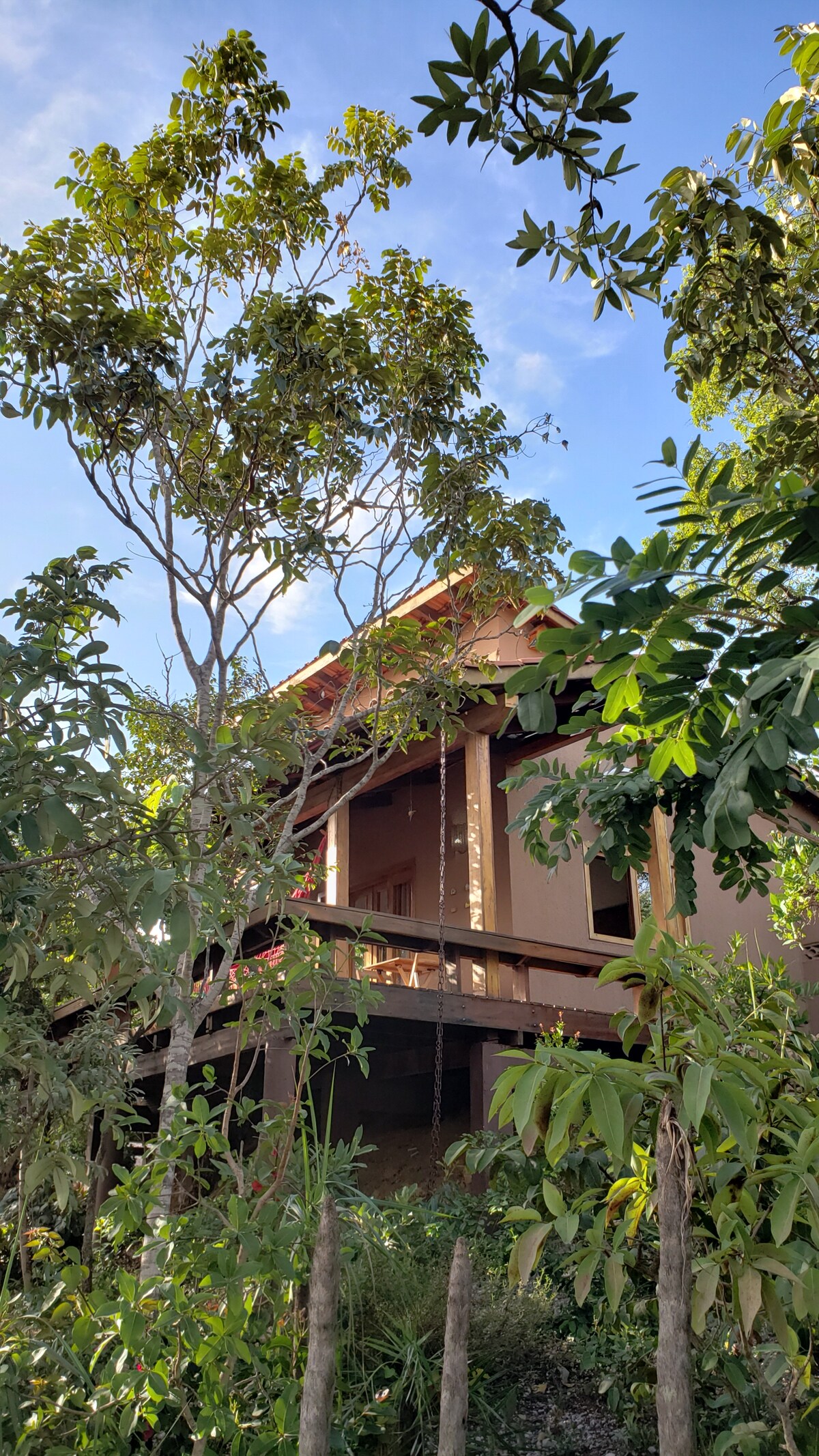 A charming cabin is nestled among lush greenery, showcasing a wooden deck and warm earth-toned walls. Tall trees and vibrant foliage surround the structure, creating a serene and natural environment. The sky above is clear, allowing natural light to illuminate the scene.