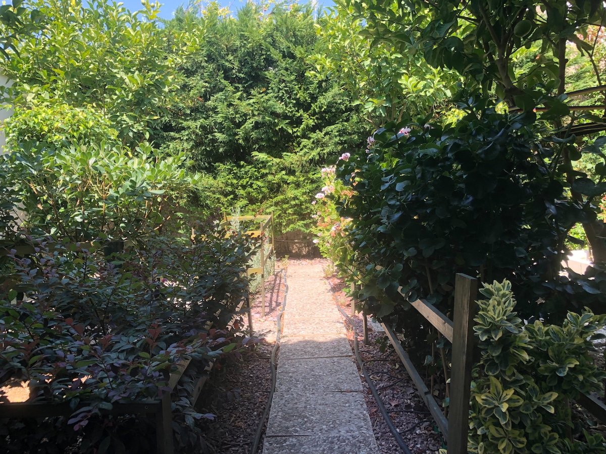 A pathway meanders through a lush garden, bordered by vibrant greenery and flowering shrubs. The path invites exploration, leading towards a serene area enclosed by tall hedges, offering a sense of privacy and tranquility.