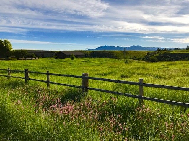 A wide view of rolling green fields stretches under a bright sky with scattered clouds. A wooden fence lines the foreground, and distant mountains can be seen in the background. Wildflowers add subtle color to the lush landscape.