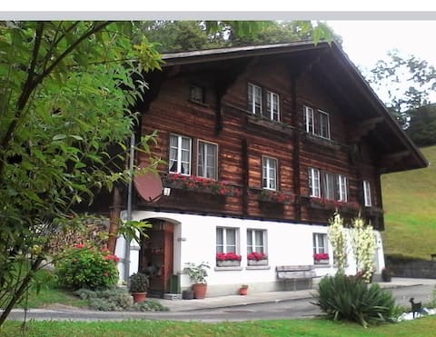 Very cozy apartment in the Bernese Oberland