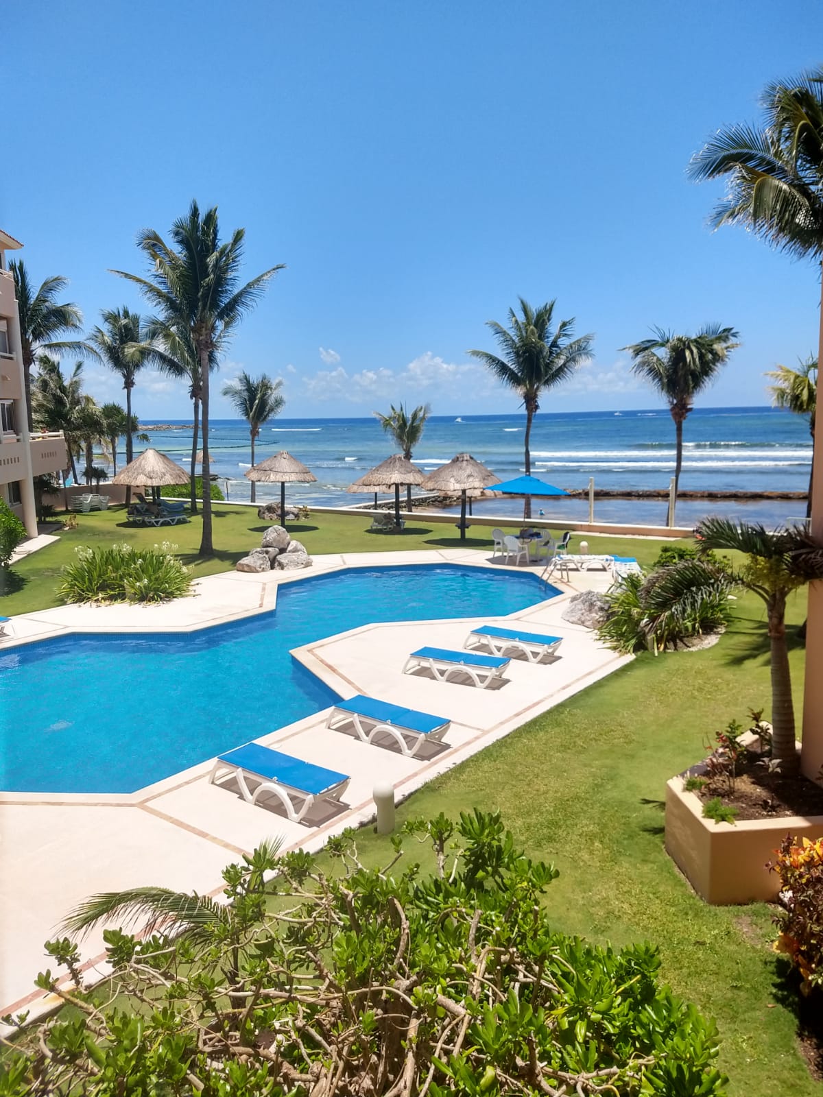 The image captures a vibrant pool area surrounded by lush greenery and palm trees, with several loungers positioned around the water. In the distance, the ocean sparkles under a clear blue sky, complementing the tranquil atmosphere of the space.
