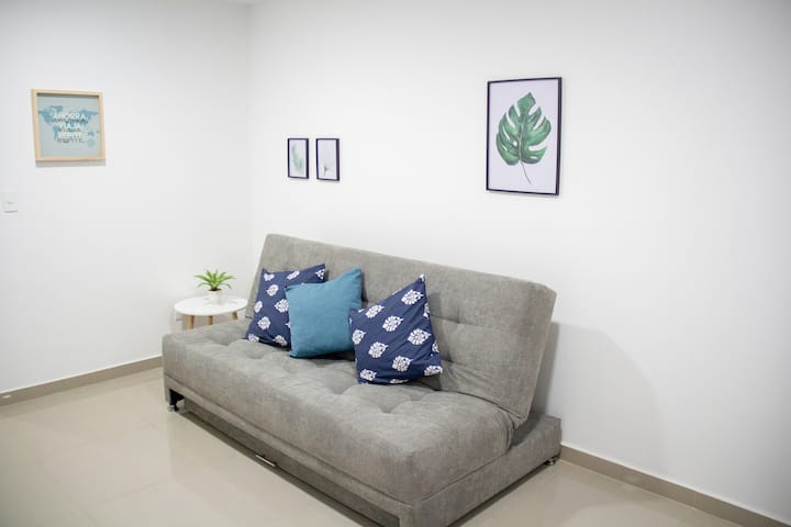 Ორადგილიანი გასაშლელი დივანი და Smart TV 50" 4K 