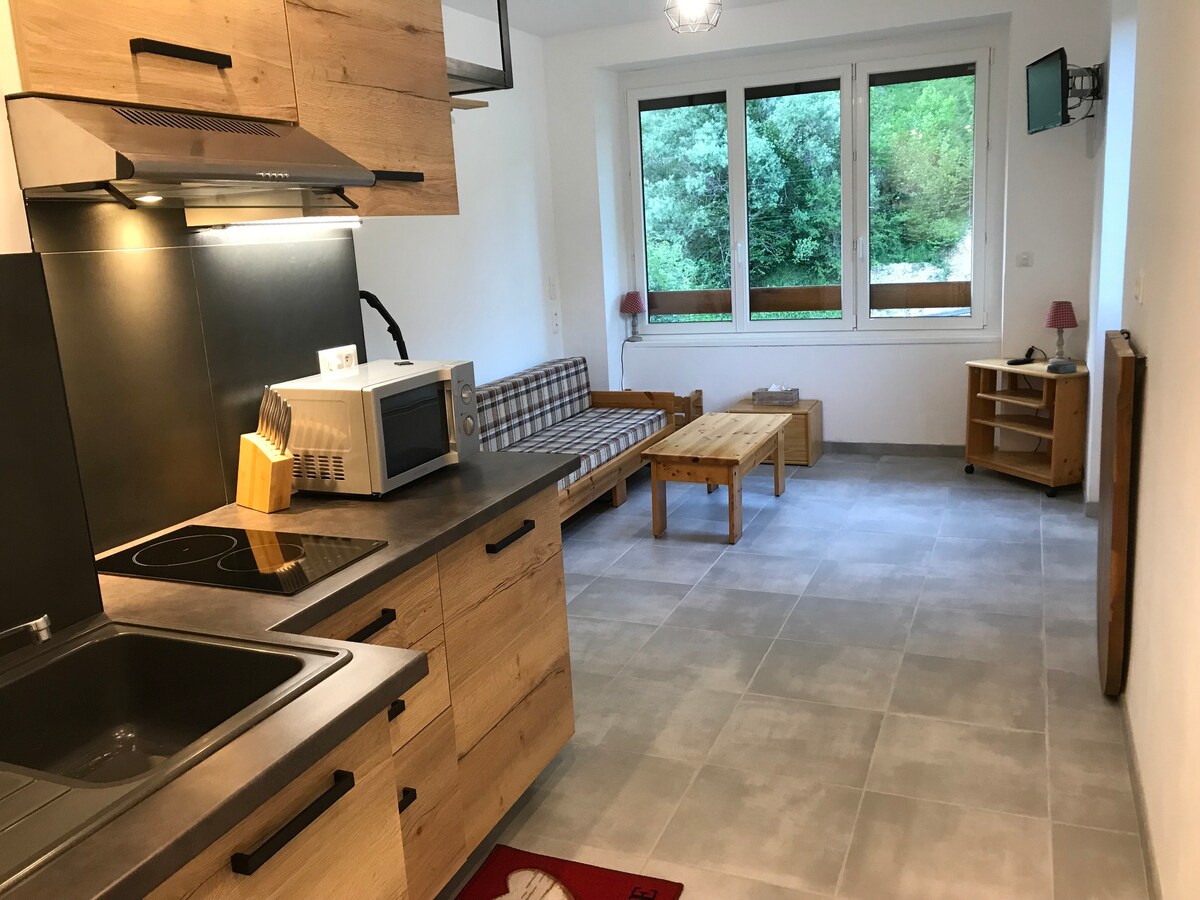 A bright living area showcases an open-plan kitchen with wooden cabinetry and a two-burner cooktop. A simple seating arrangement includes a sofa and a wooden coffee table, complemented by large windows that offer views of greenery outside.