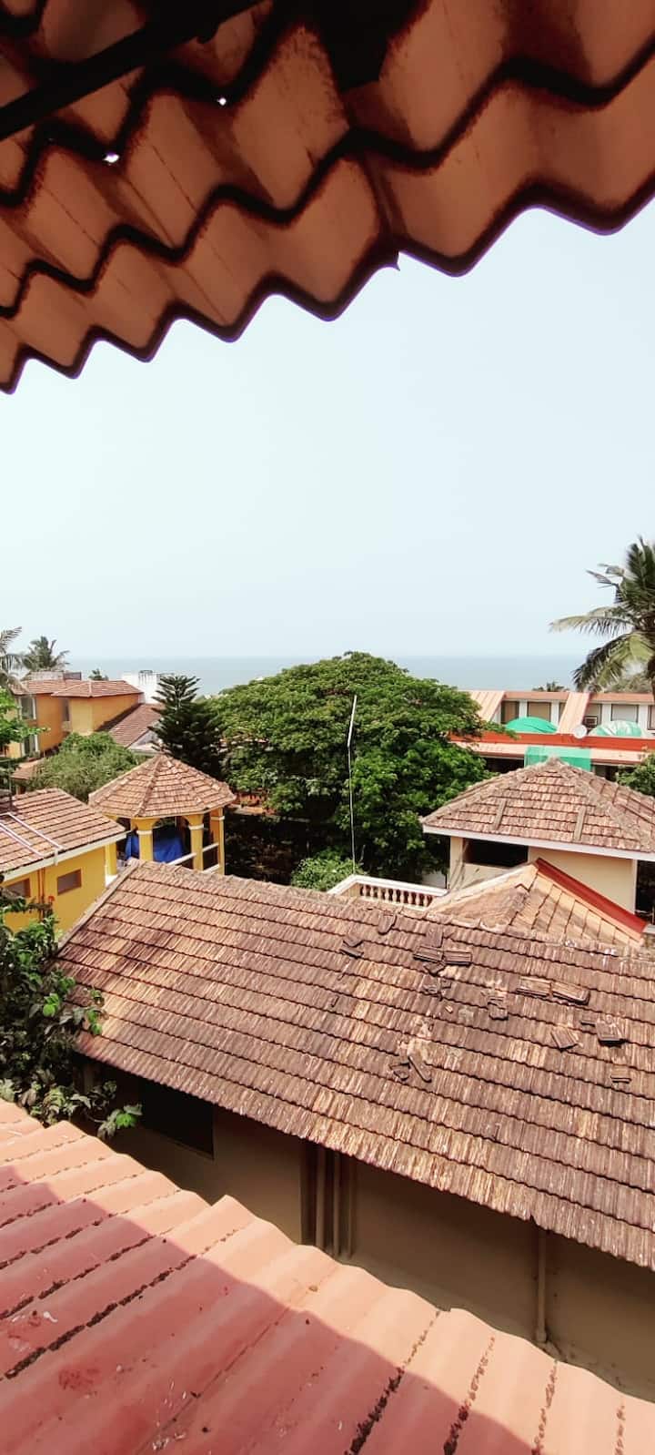 Listing image 11