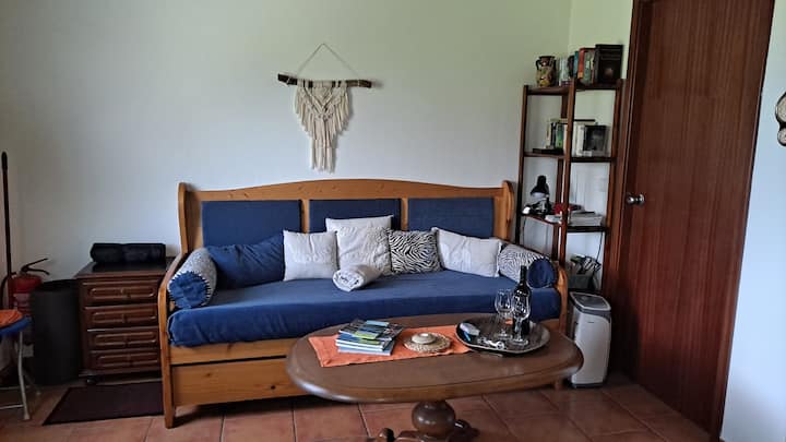 Разтегателен диван (100 пъти)