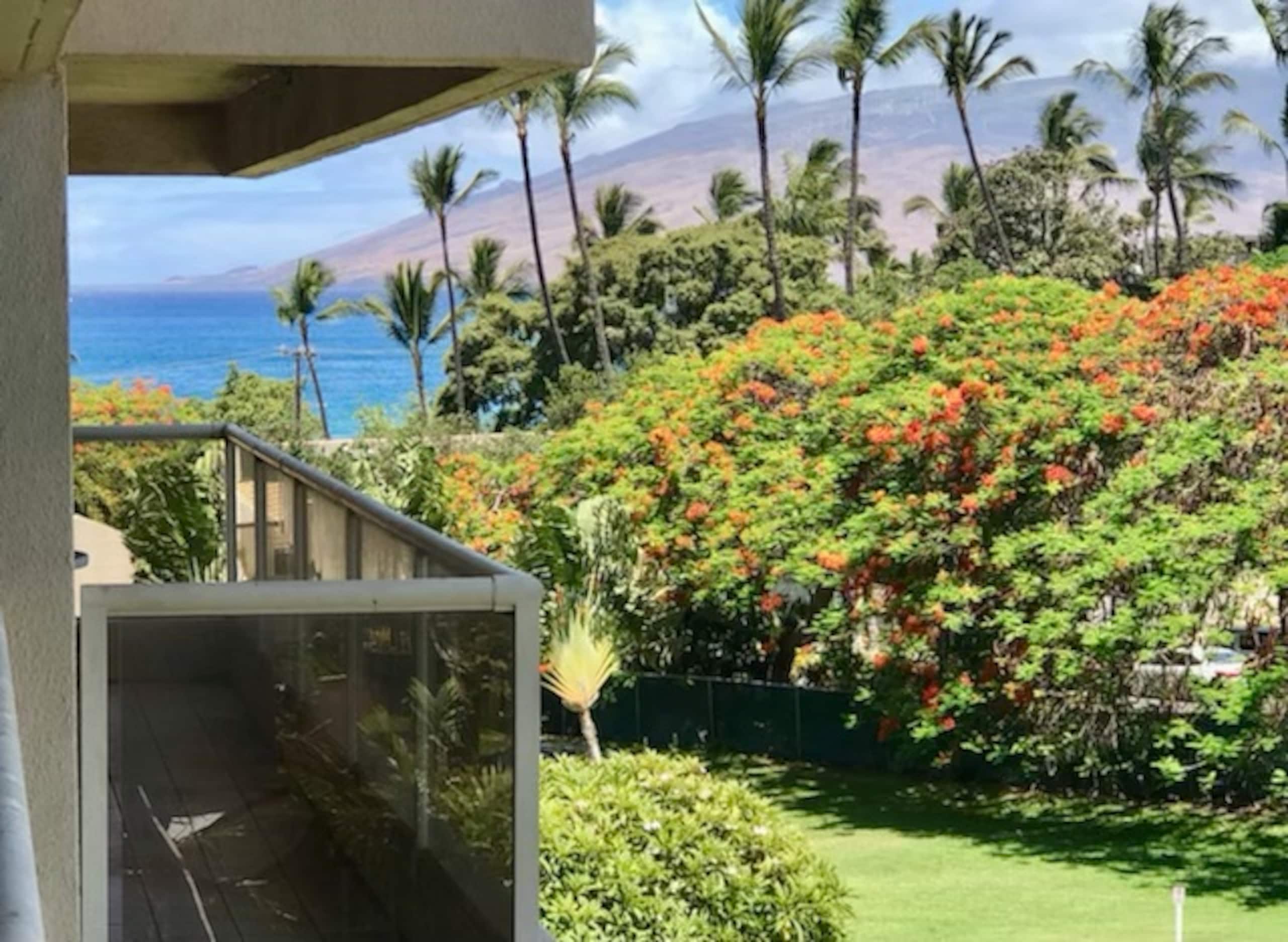 Condo in Kihei · ★4.93 · Studio · 1 bed · 1 shared bath - Image 9