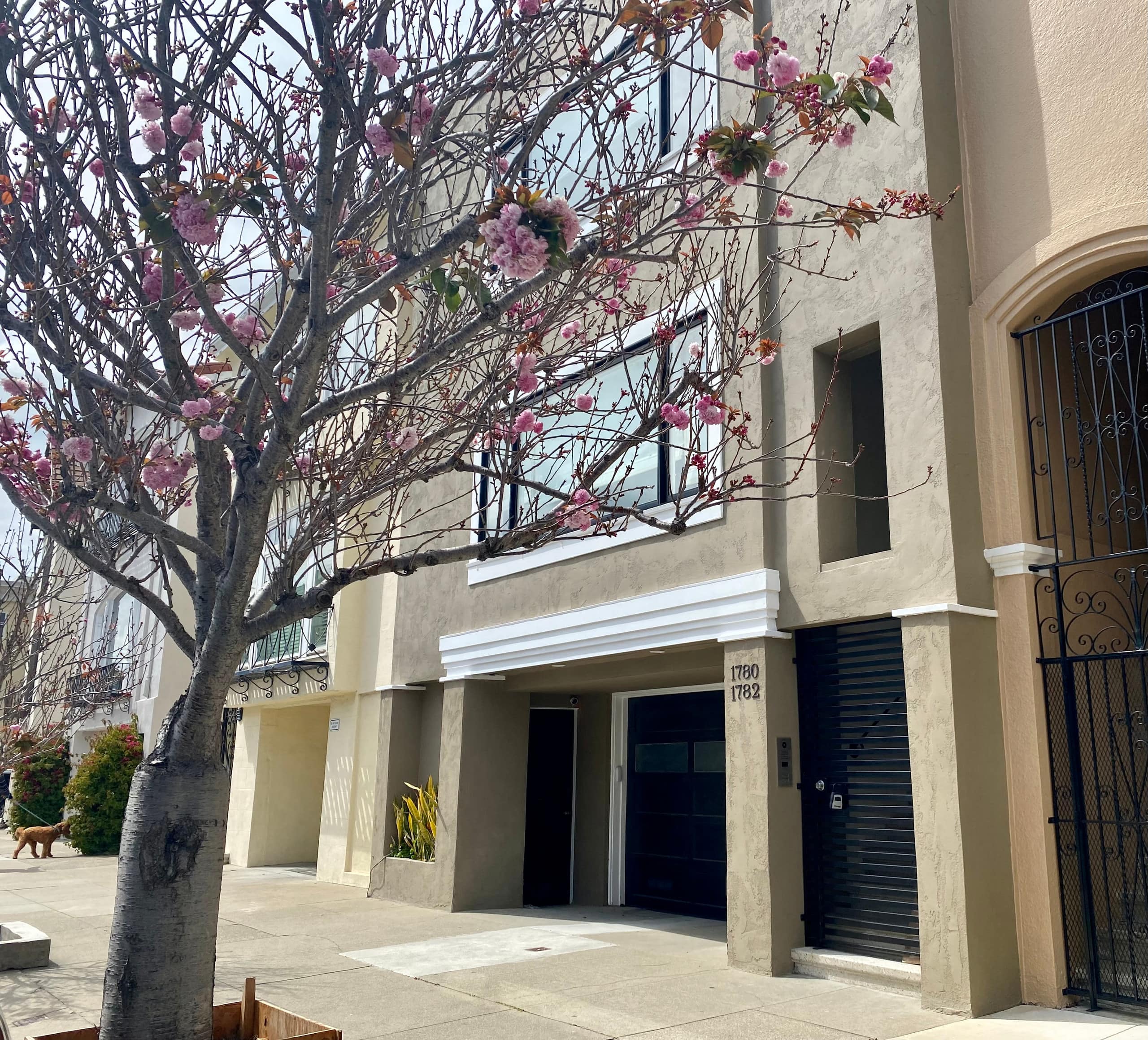 Townhouse in San Francisco · ★4.87 · 2 bedrooms · 2 beds · 1.5 baths - Image 40