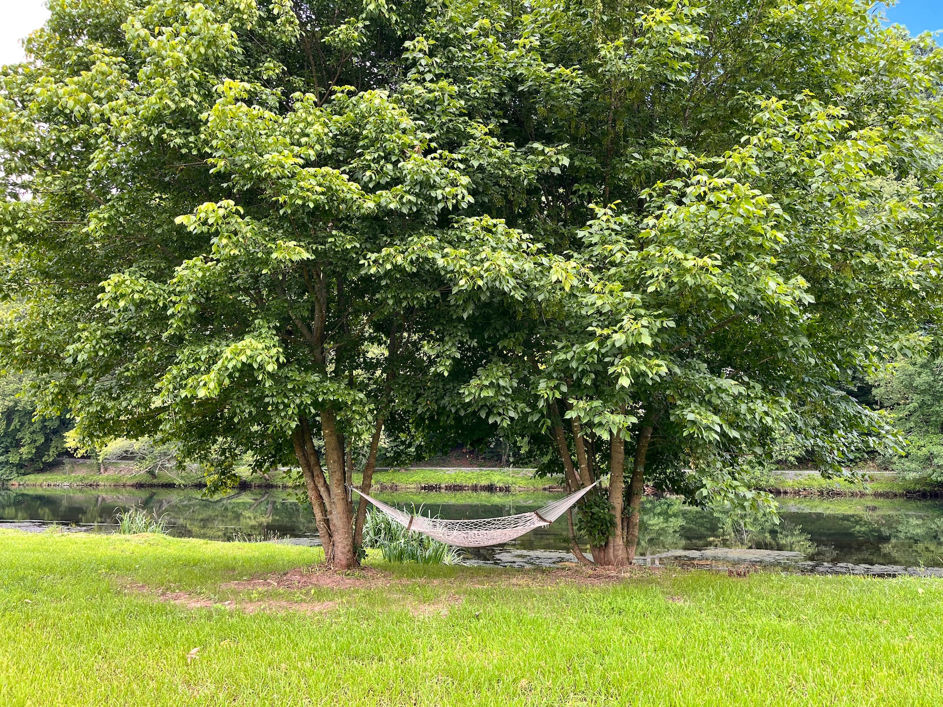 Watauga River Cottage in Johnson City, TN! — photo 2