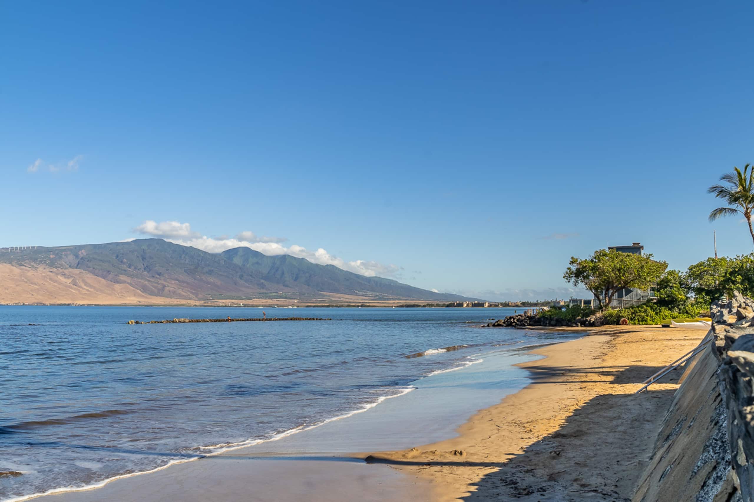 Condo in Kihei · ★4.9 · 2 bedrooms · 4 beds · 2 baths - Image 40