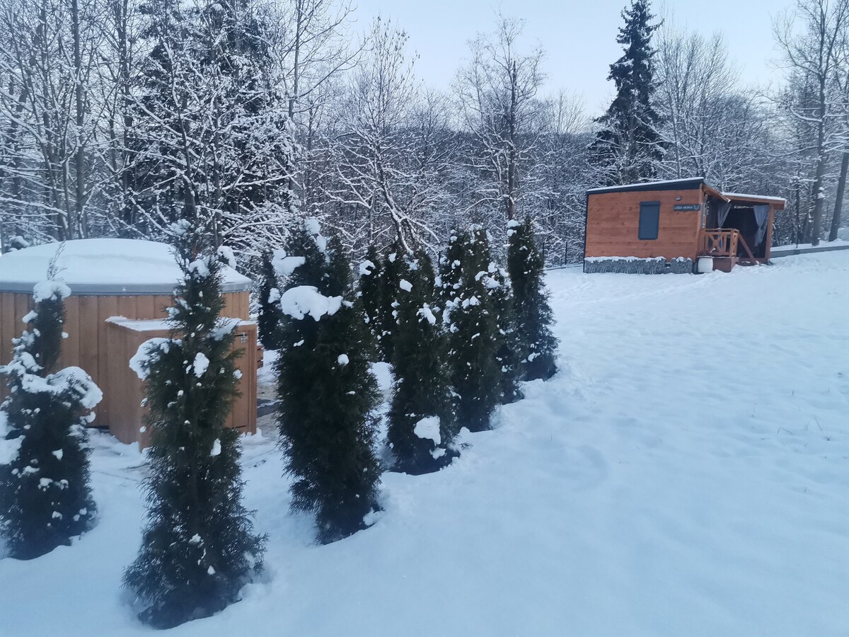A snowy landscape features a hot tub surrounded by evergreen trees, their branches laden with snow. In the background, a wooden structure is visible, blending harmoniously with the winter scenery. The ground is covered in a thick layer of white snow, creating a serene atmosphere.