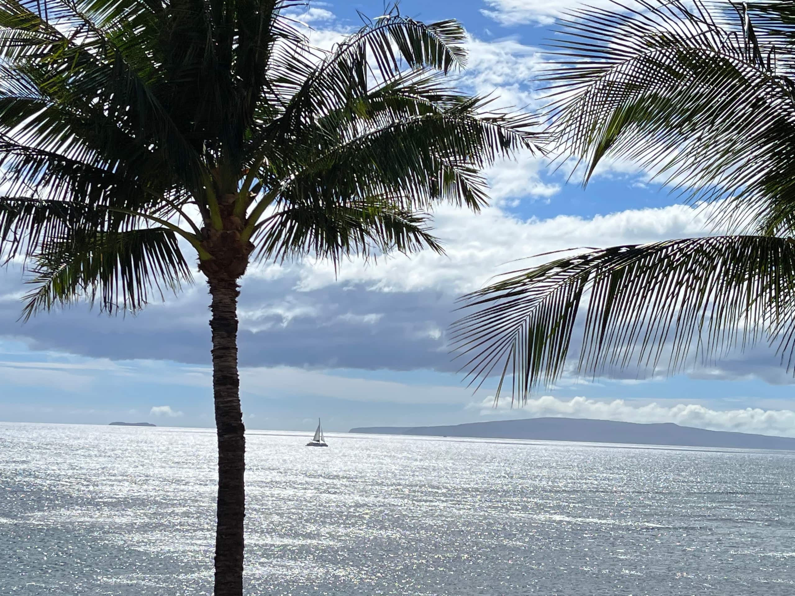 Condo in Maalaea · ★4.88 · 2 bedrooms · 2 beds · 2 baths - Photo 13