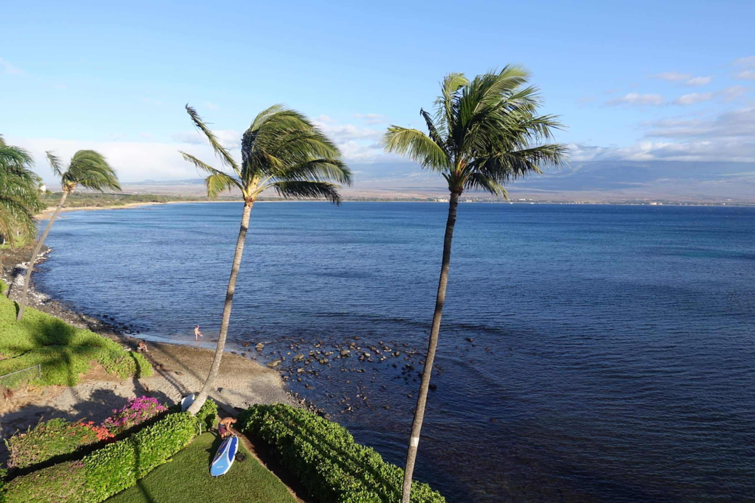 Condo in Maalaea · ★4.88 · 2 bedrooms · 2 beds · 2 baths - Photo 24