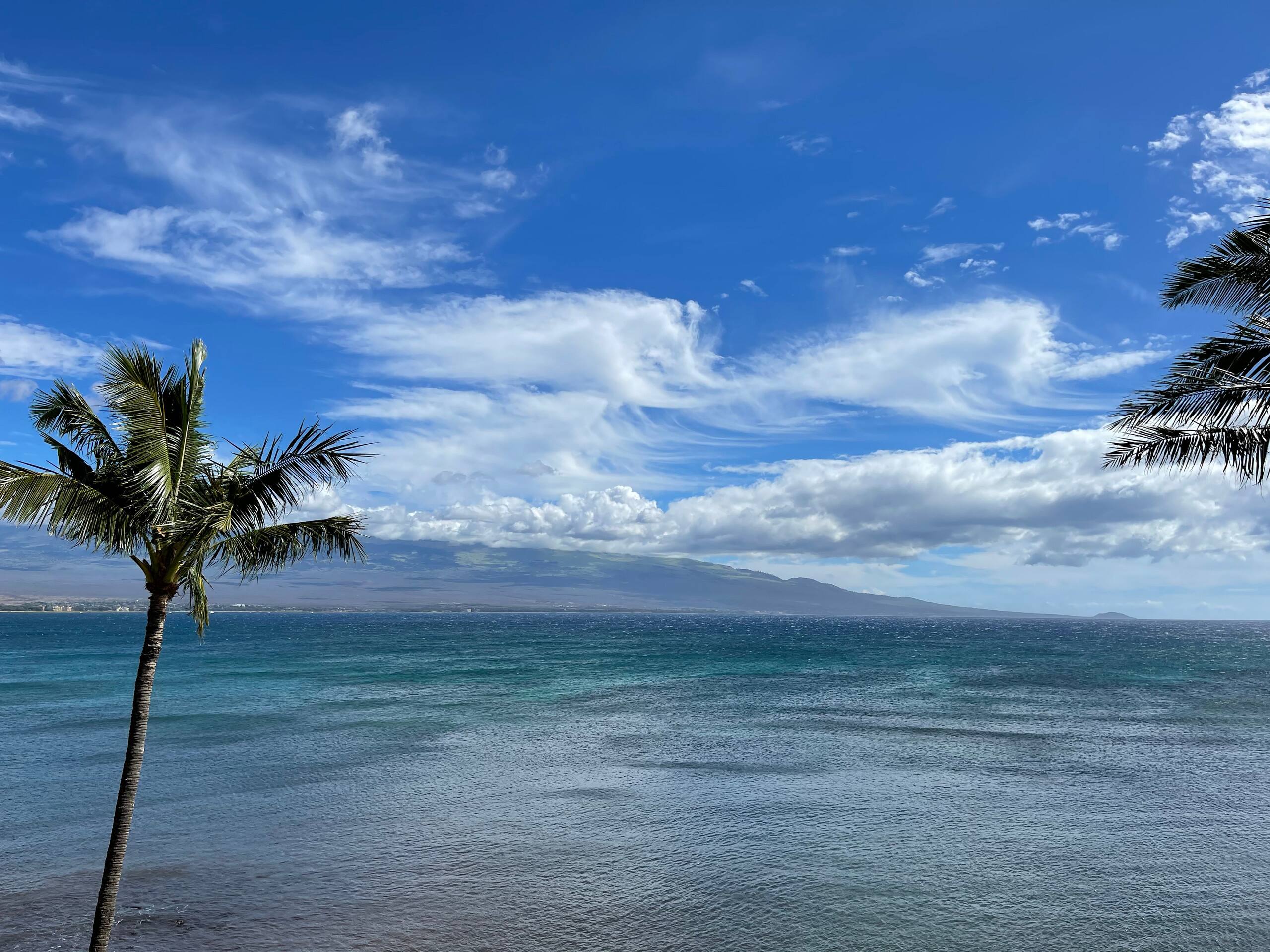 Condo in Maalaea · ★4.88 · 2 bedrooms · 2 beds · 2 baths - Photo 27