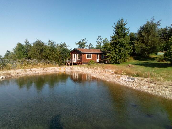 New wooden cabin near nature park Thy