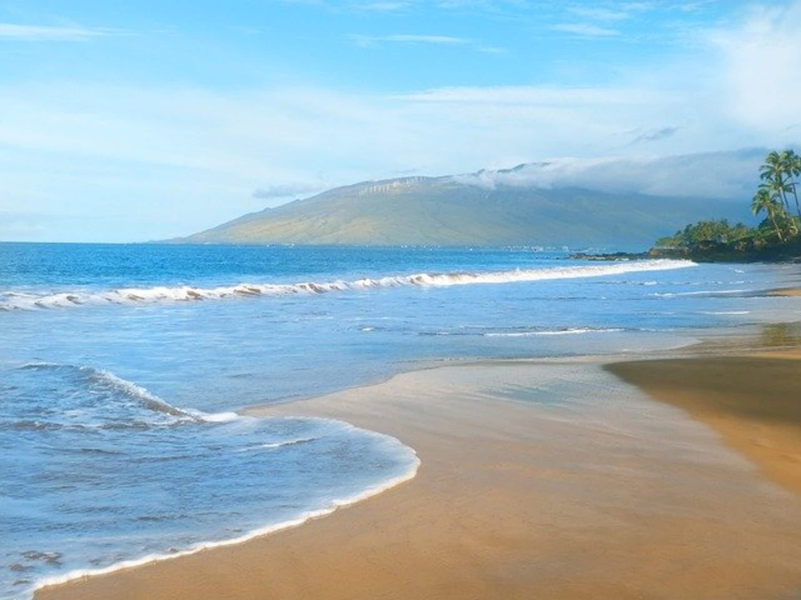 Condo in Kihei · ★4.96 · 1 bedroom · 1 bed · 1 private bath - Image 48