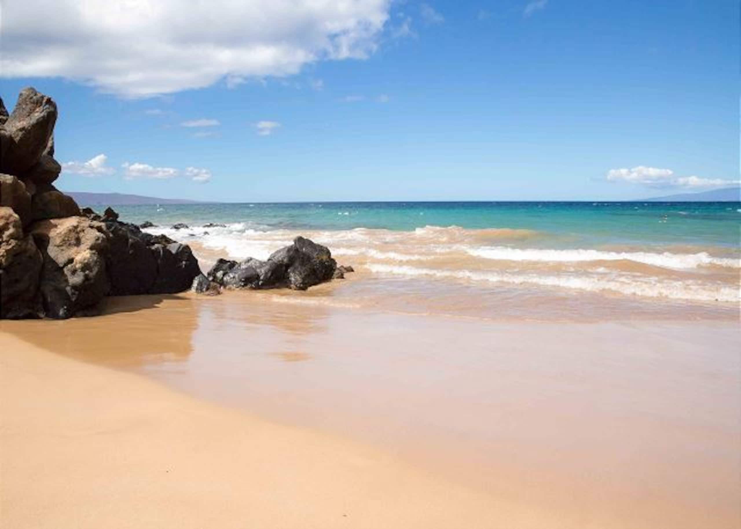 Condo in Kihei · ★4.96 · 1 bedroom · 1 bed · 1 private bath - Image 45