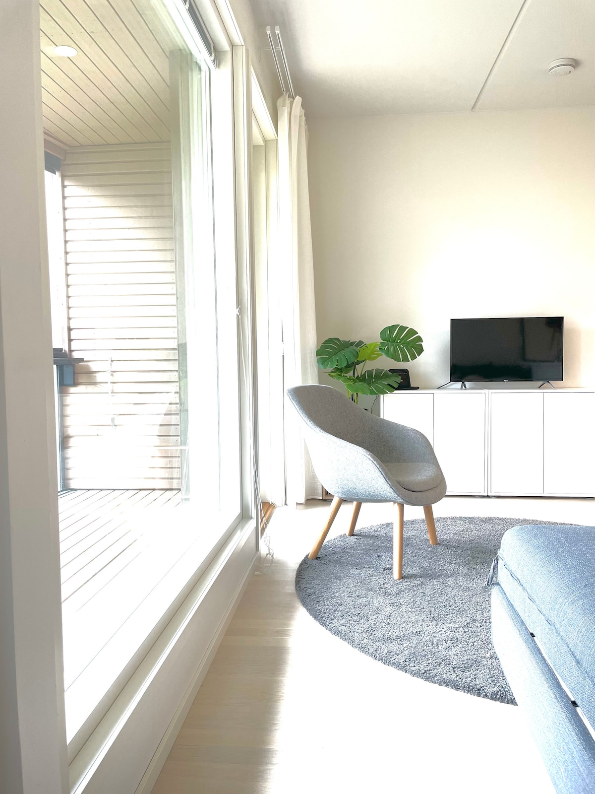 A light-filled living area is highlighted by a modern chair and a small television placed on a white cabinet. Natural light streams through expansive windows, enhancing the serene atmosphere. A round, textured rug grounds the space, complemented by a green plant in the corner.