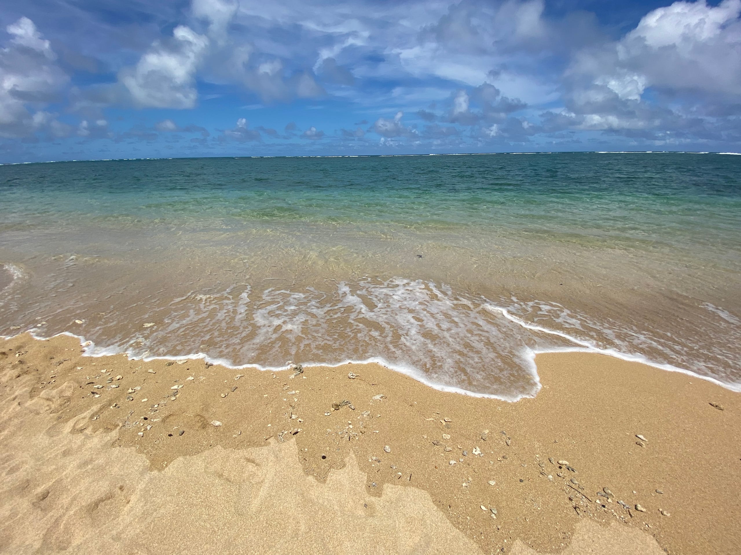 Condo in Hauula · ★4.73 · 1 bedroom · 4 beds · 1 private bath - Image 42
