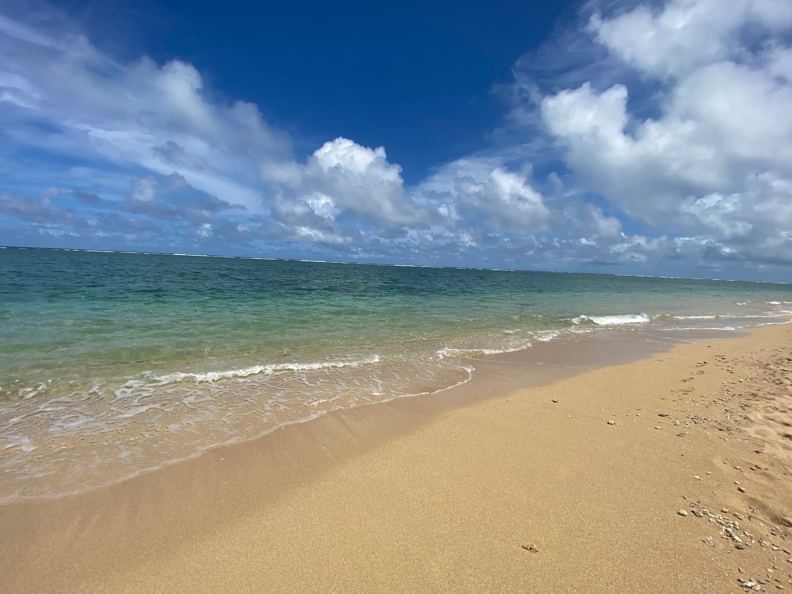 Condo in Hauula · ★4.73 · 1 bedroom · 4 beds · 1 private bath - Image 41