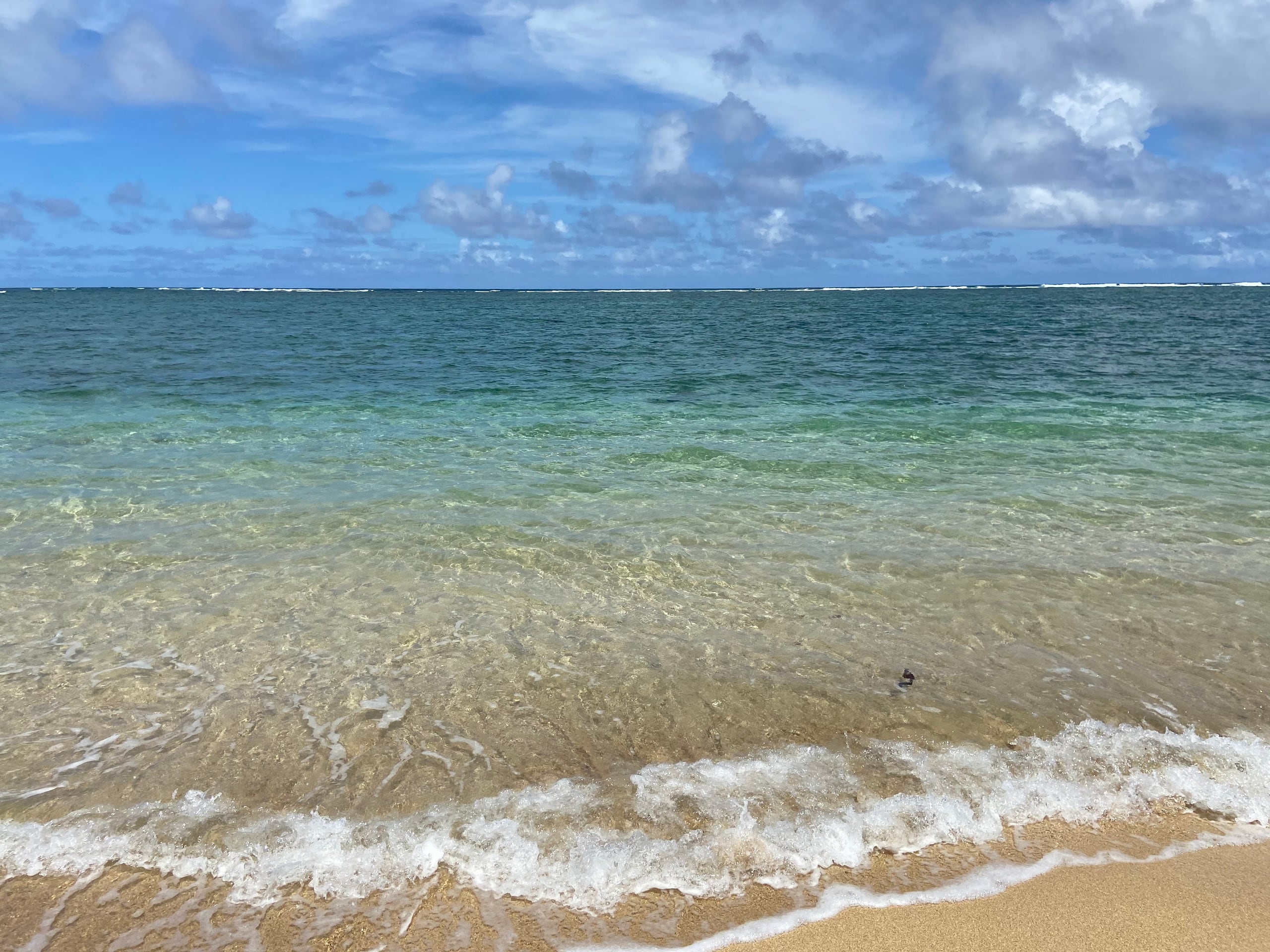 Condo in Hauula · ★4.73 · 1 bedroom · 4 beds · 1 private bath - Image 49