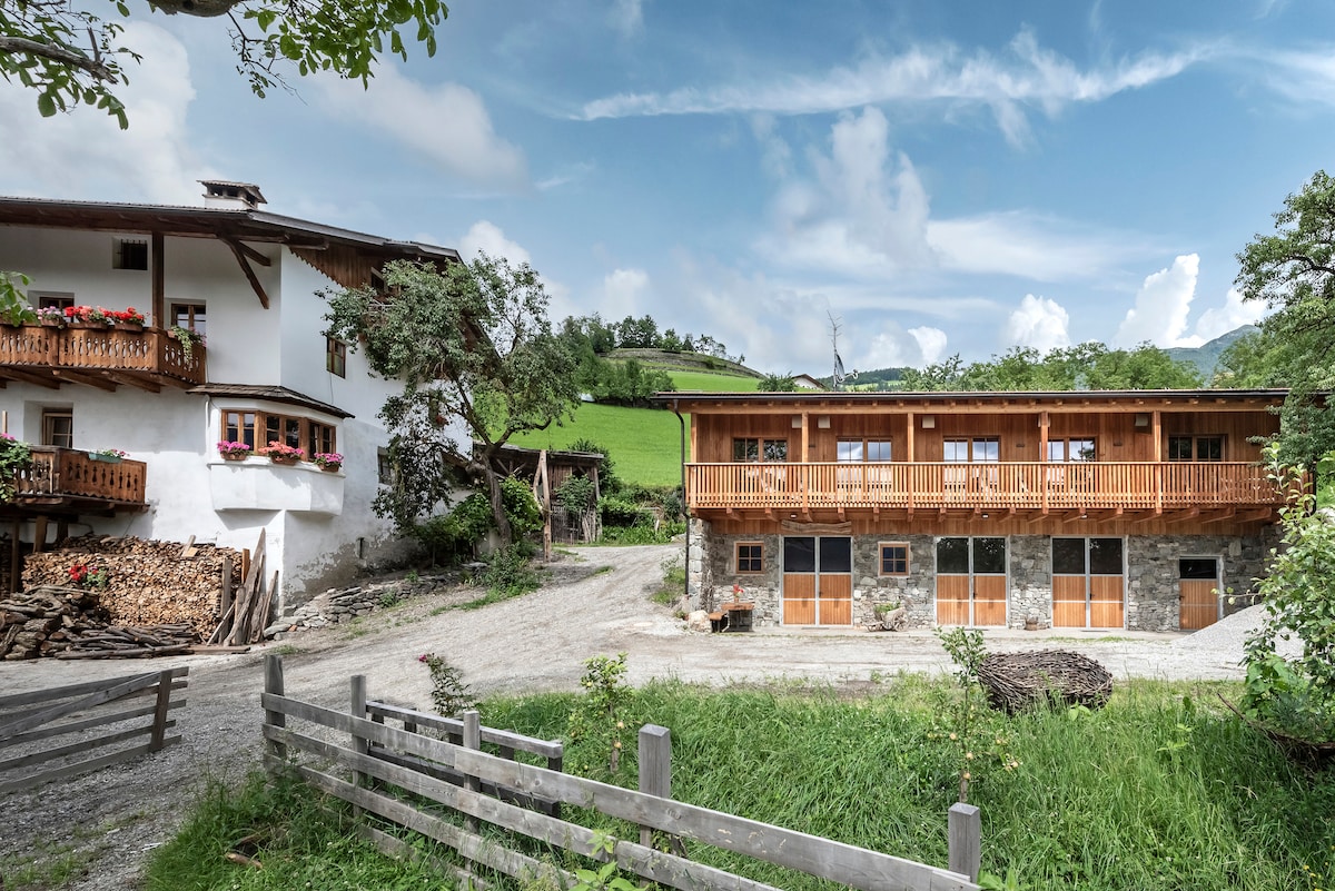 A classic wooden and stone structure is seen from the outside, featuring a spacious balcony. Surrounding greenery highlights the rural setting, while a gravel pathway leads to the entrance. Nearby, stacked wood adds a rustic touch, complementing the agricultural landscape in the background.