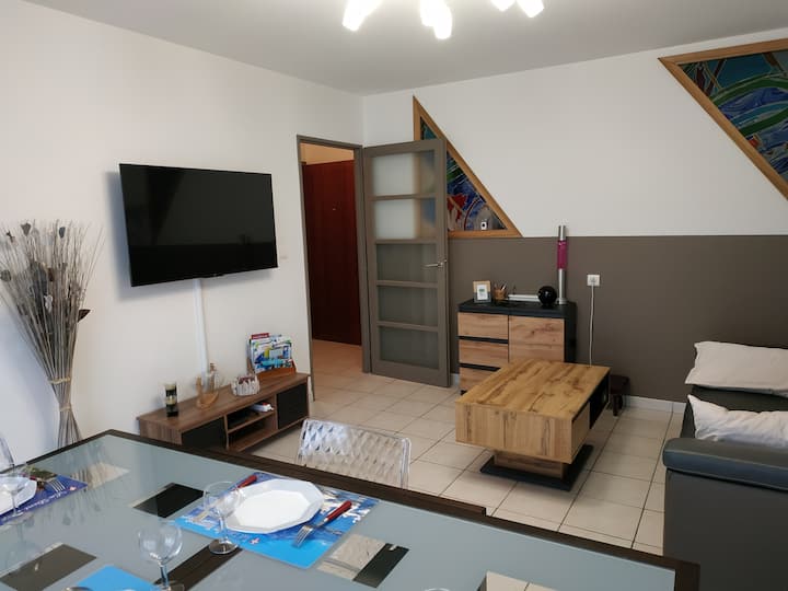 Appartement 3* à 5 Minutes à Pied De La Plage - Aix-les-Bains