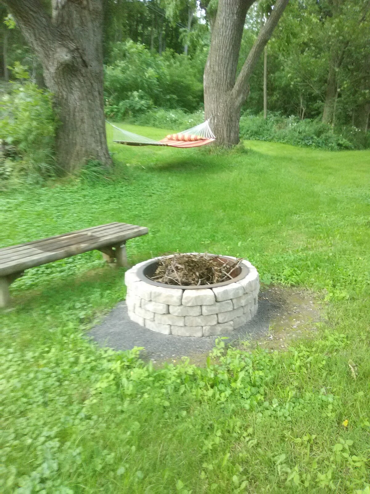 A stone fire pit is surrounded by a grassy area, with gathered sticks inside. A wooden bench offers seating nearby. In the background, a hammock is suspended between two trees, nestled among lush greenery.