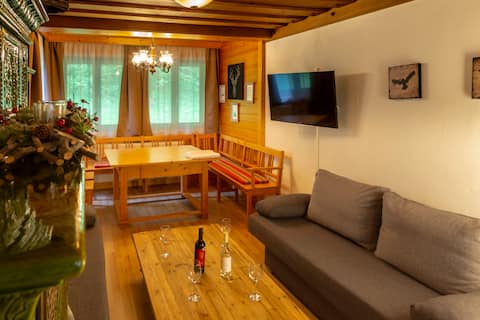 Ideal house for family and friends in higher group
