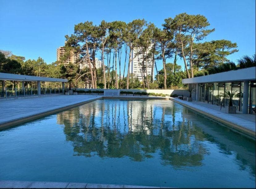 The image showcases a tranquil outdoor pool, surrounded by a smooth stone deck and framed by tall trees. Reflections of the greenery and nearby buildings are visible on the water's surface under a clear blue sky.