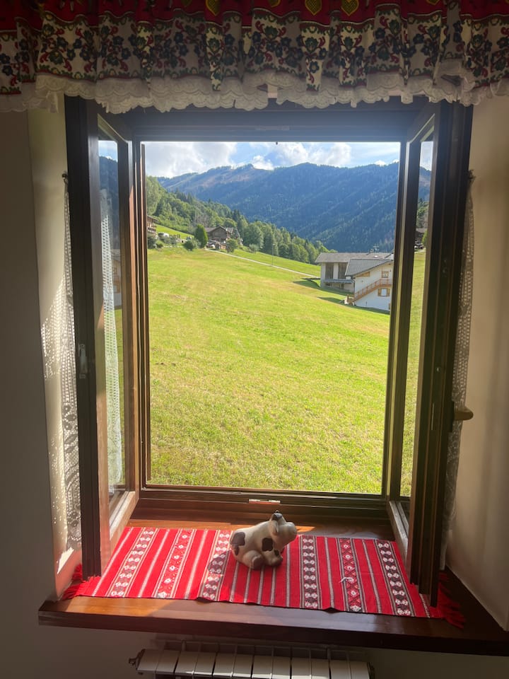 view from one of the rooms