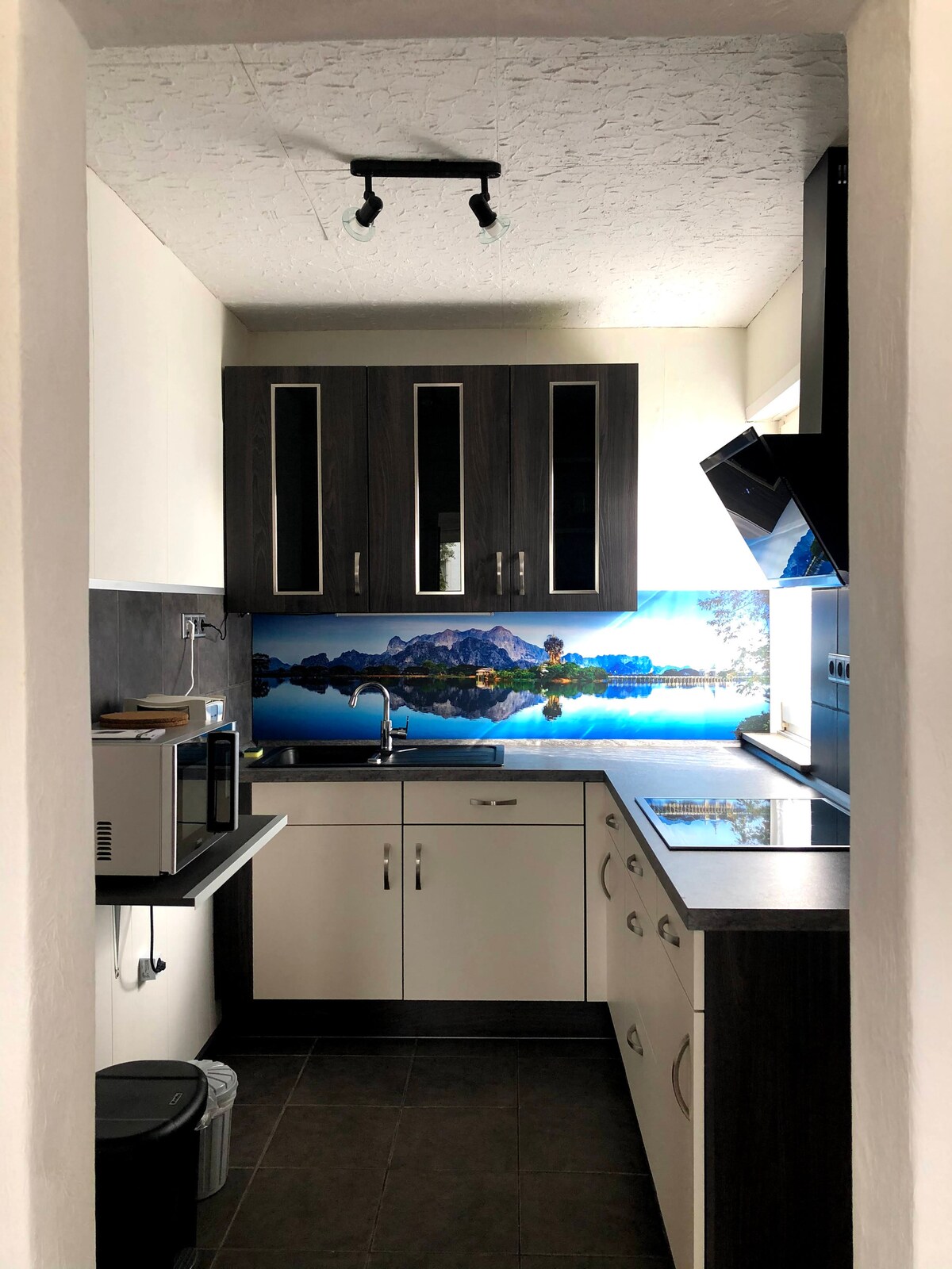 A fully equipped kitchen is visible, featuring modern cabinetry with a dark wood finish and light-colored lower cabinets. A scenic mural depicting a lake and mountains adds a calming backdrop, alongside stainless steel appliances and a sleek countertop.