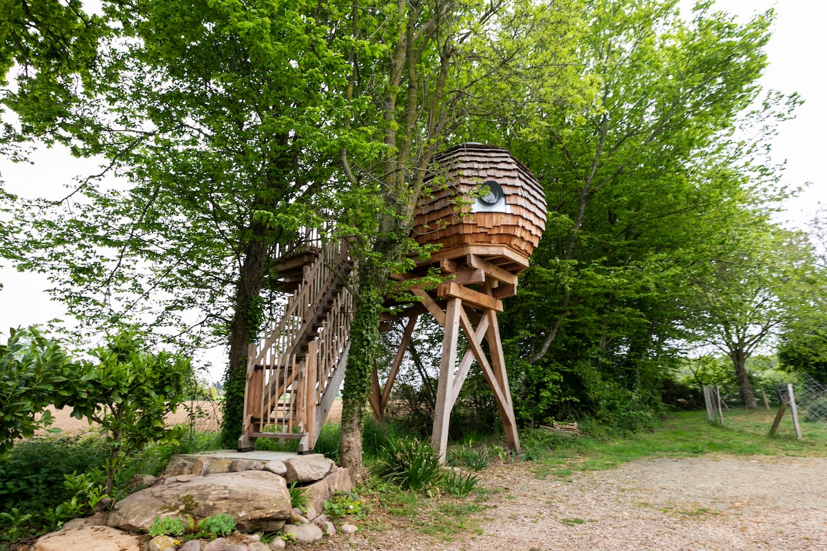 A wooden treehouse structure is elevated on tall legs, surrounded by lush greenery. A winding staircase leads to the entrance, and large trees provide natural shade. The unique design features rounded elements and a large window that adds a playful touch to the rustic setting.
