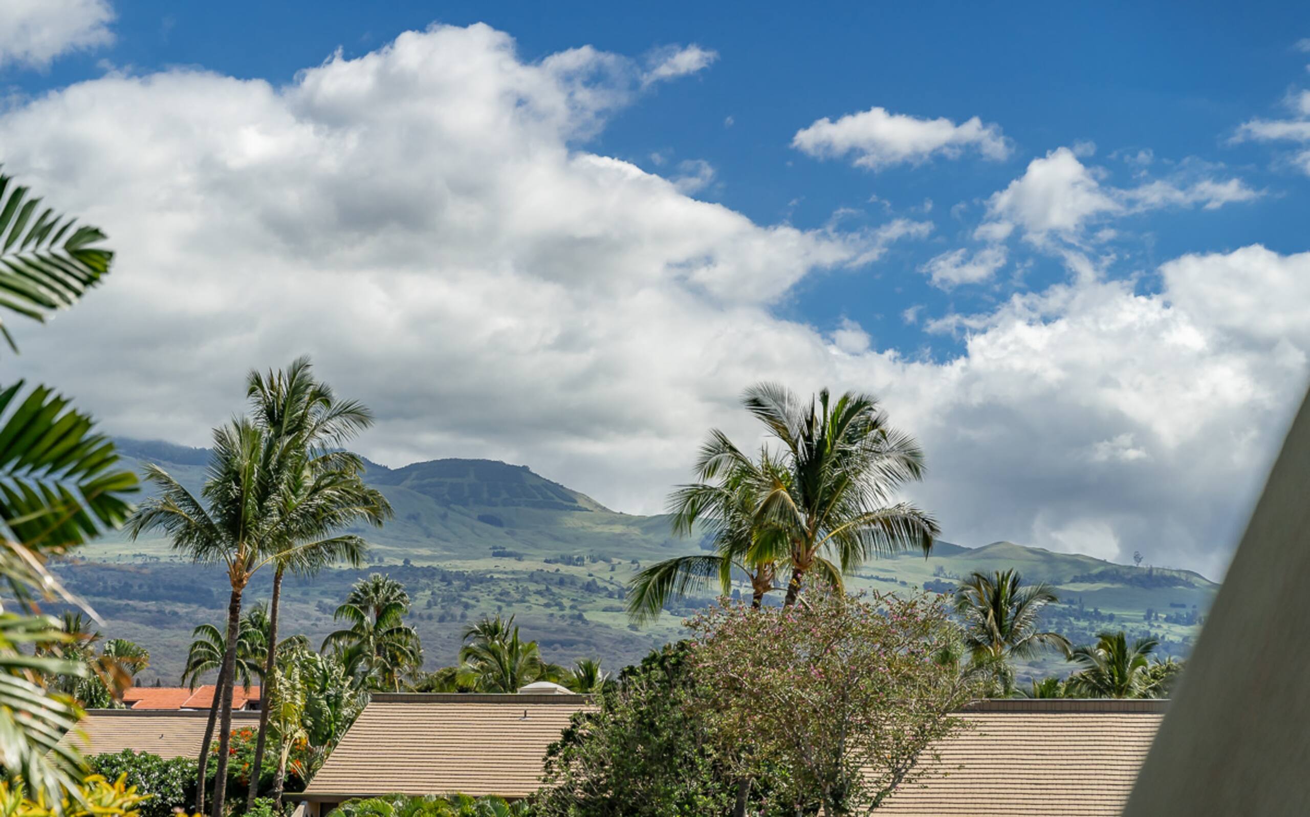 Condo in Kihei · ★4.93 · 2 bedrooms · 4 beds · 2 private baths - Image 59