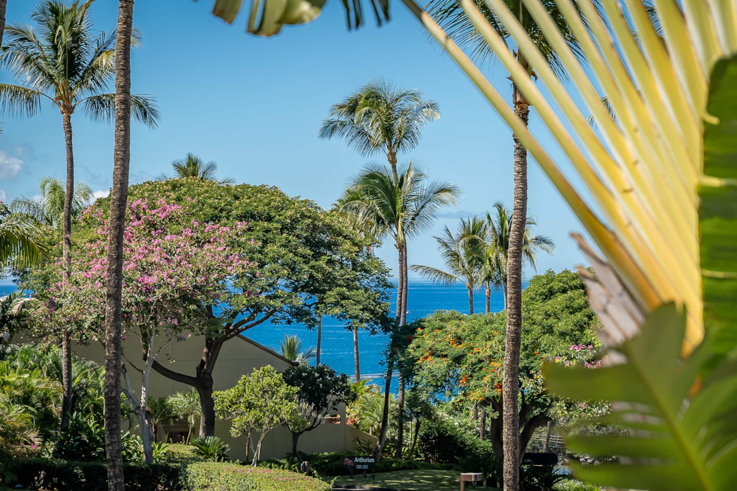 Condo in Kihei · ★4.93 · 2 bedrooms · 4 beds · 2 private baths - Image 57