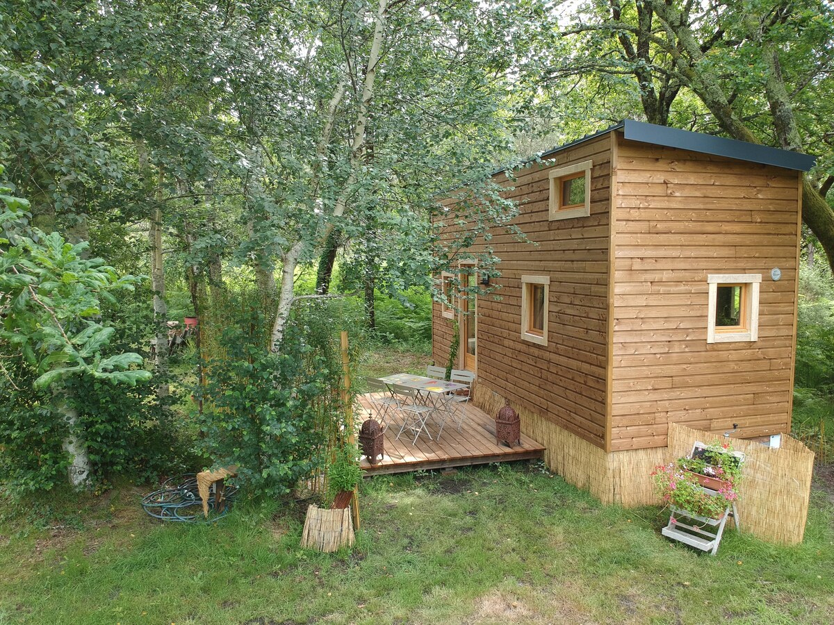 A wooden tiny house is nestled in a forested area, surrounded by trees and greenery. It features multiple windows that allow natural light to enter. A small outdoor deck is visible, furnished with a table and chairs, providing a nature-viewing space.