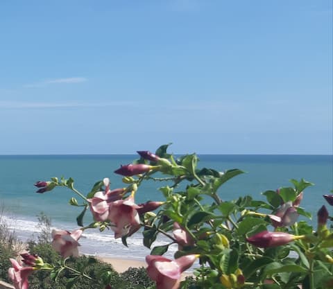 Charming ocean-view house