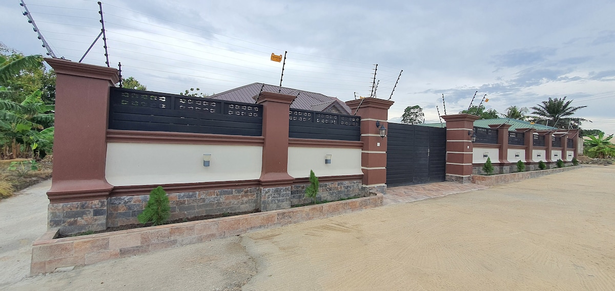 The secure entrance features a tall, well-constructed wall with decorative elements. A solid gate provides access, flanked by evenly spaced green shrubs and soft landscaping. The driveway leads to the property, which is set in a well-maintained, open area.