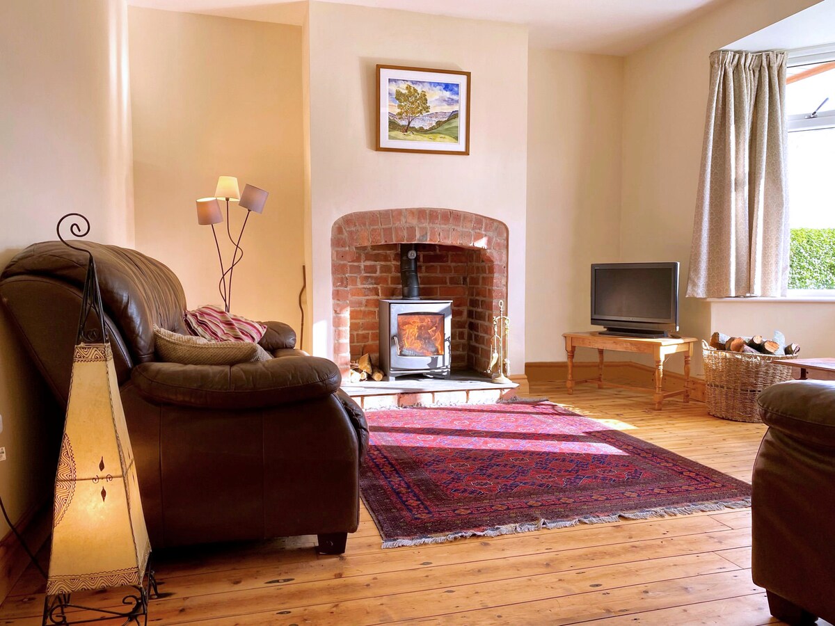 The living area features a welcoming brick fireplace with a wood stove as its centerpiece, surrounded by a comfortable leather sofa. A patterned area rug rests on sanded wooden floors, while soft lighting is provided by a standing lamp. A television is positioned across from the seating.