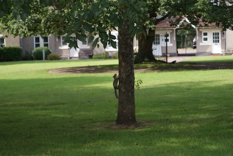 Light and airy apartment with off-road parking.