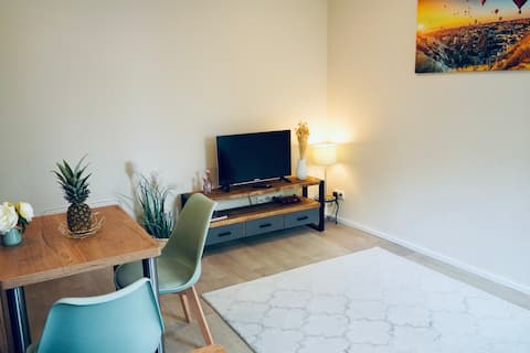 Top performing Airbnb: Deluxe Apartment in Offenbach-City in Hafen