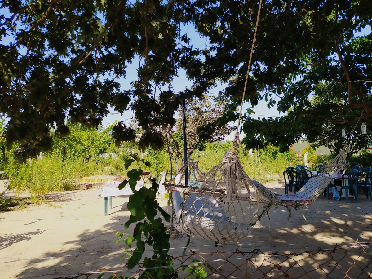 A spacious outdoor area is shown, featuring several hammocks suspended between shaded trees. A table and chairs are visible in the background, surrounded by lush greenery. The ground is sandy, and a tranquil atmosphere is suggested by the natural surroundings.