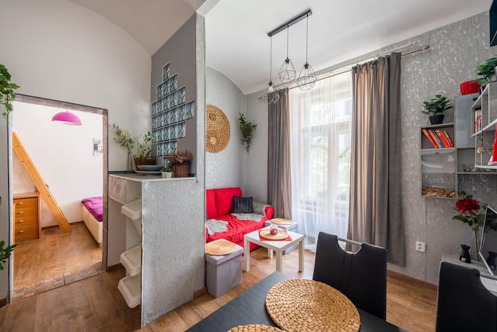 Homy, Fully Equipped Flat (Wi-fi/netflix/guides) - Praga