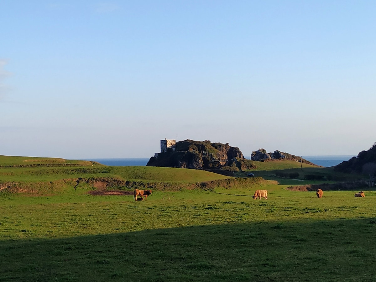 A serene landscape features rolling green fields dotted with grazing cows. In the background, rocky formations and distant cliffs are visible against the sea. A structure stands on the rocky area, adding a touch of character to the tranquil scenery.