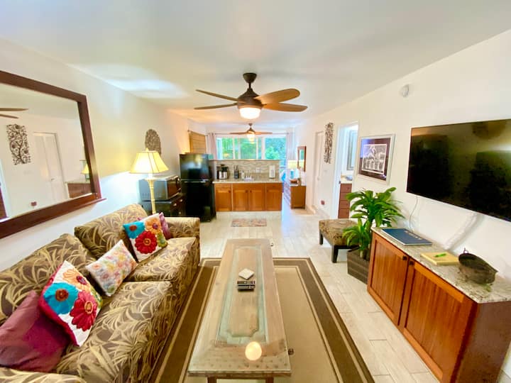 Kaua'i Princeville at Hanalei Condo with AC Apartments for Rent in
