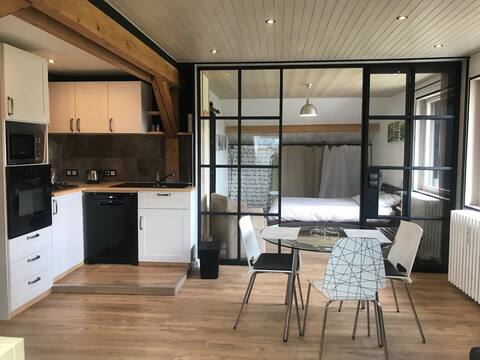 Apartment from ski trails/slopes