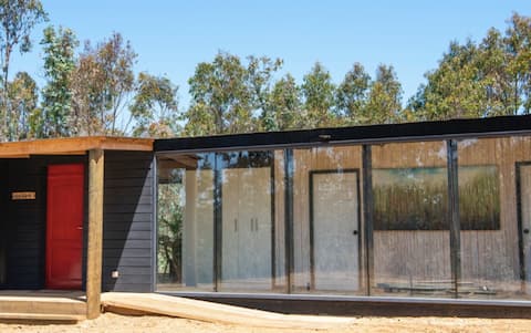 Top performing Airbnb: Nice house located in the middle of a forest. in El Quisco