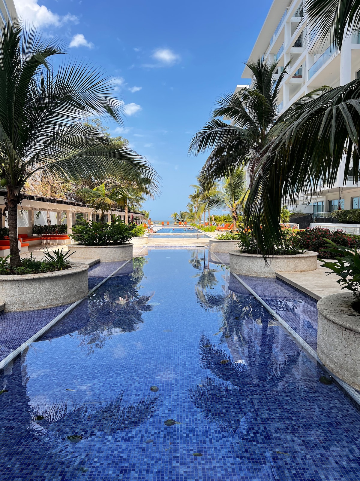 A serene pathway lined with vibrant tropical plants is framed by a clear blue water feature, reflecting the surrounding greenery. The pool area can be seen in the background, leading toward the ocean under a bright blue sky.
