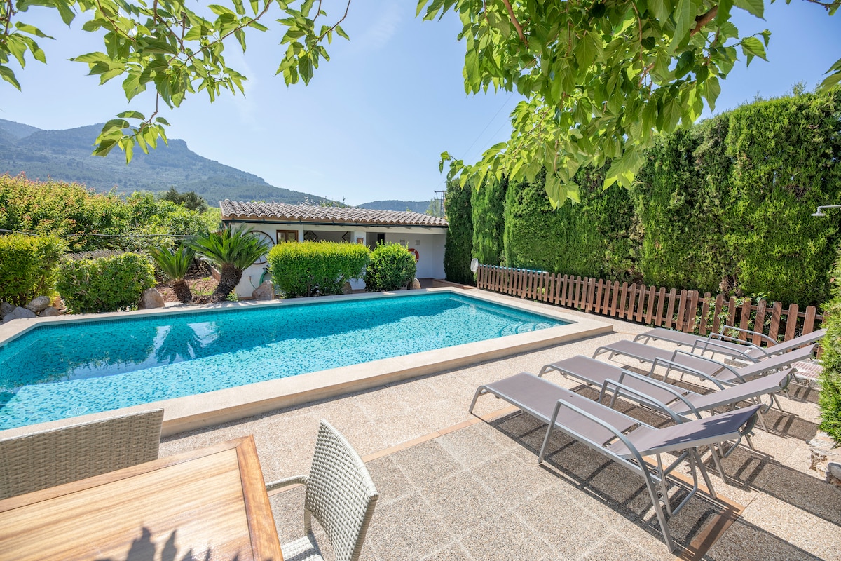 The outdoor area features a refreshing swimming pool surrounded by a paved patio area. Several sun loungers are arranged for relaxation, and a dining table is positioned nearby under the shade of trees. Lush greenery and a fence create a private atmosphere.