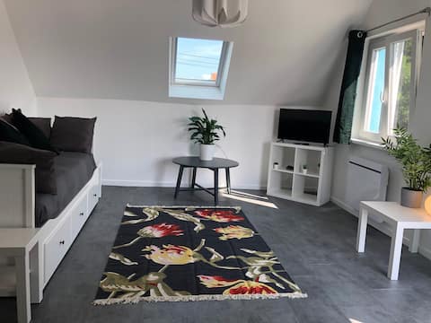 Beautiful two-room 65m2 Haguenau center